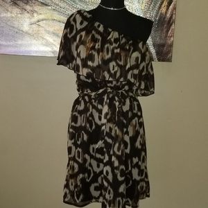 Leopard Print Dress